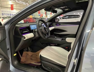BYD SEAL 06 DM-i 2024 120KM Premium seats