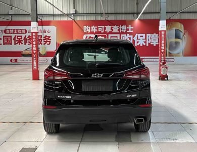 Chevrolet Equinox 2021 535T Zhijie Edition rear view